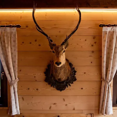 Bed & Breakfast La Dane Zoncolan & Sùtrio