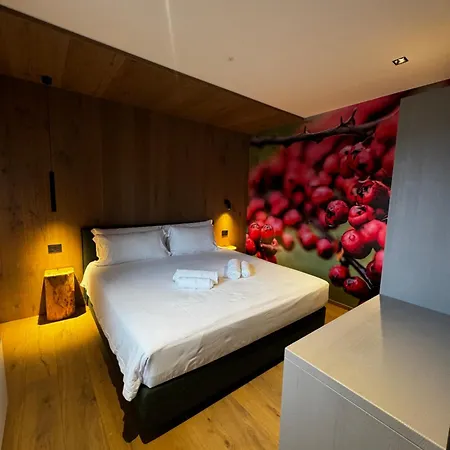 Bed & Breakfast La Dane Zoncolan & Sùtrio