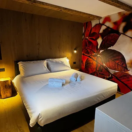 Bed & Breakfast La Dane Zoncolan &